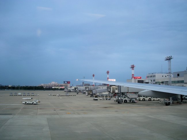 http://www.thevital.net/udo/Japan2007/FUKHND/JL334.wing.jpg